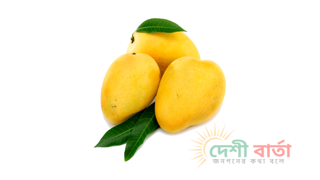 প্রথমবারের মতো চীনে রপ্তানি হচ্ছে বাংলাদেশের আম, যাচ্ছে ৫০ টন