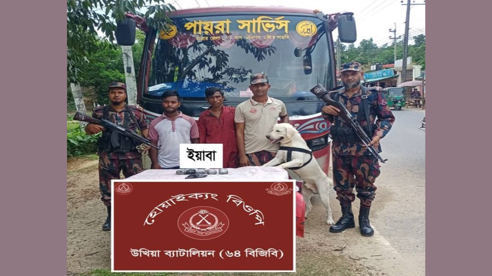 উখিয়ায় ডগ স্কোয়াডের সহায়তায় ৯,৮০০ পিস ইয়াবাসহ বাস চালক ও হেলপার আটক