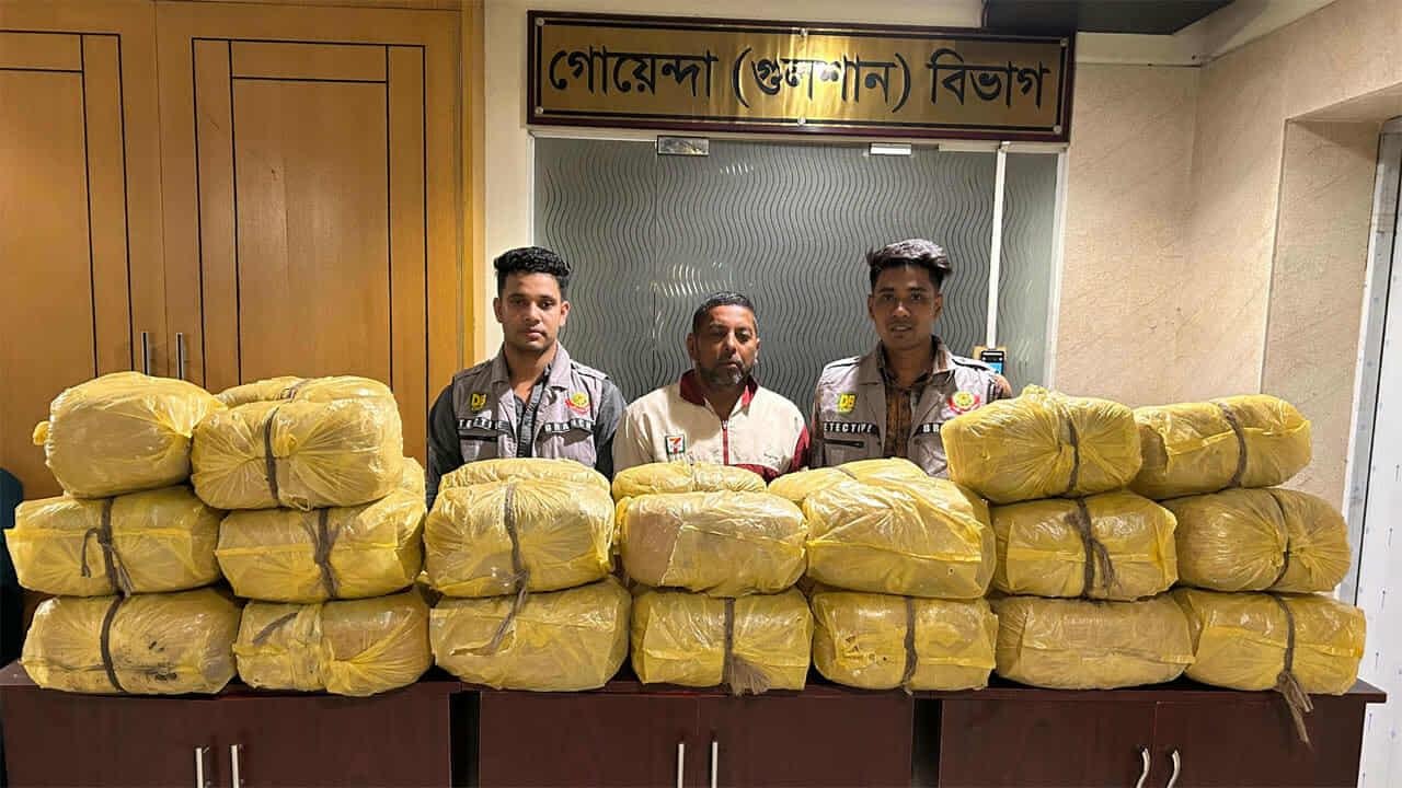 গুলশান ডিবির অভিযানে বনানী থেকে ৯৯ কেজি গাঁজা জব্দ
