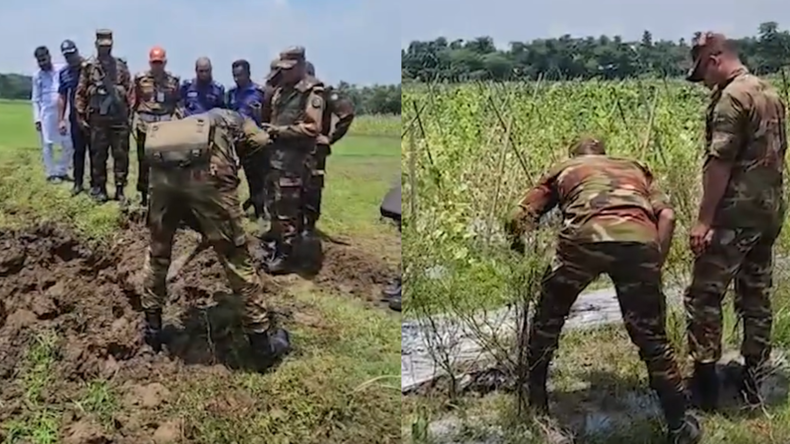 সুনামগঞ্জে মরিচক্ষেতে তাজা গ্রেনেড উদ্ধার, সেনাবাহিনী নিষ্ক্রিয় করল