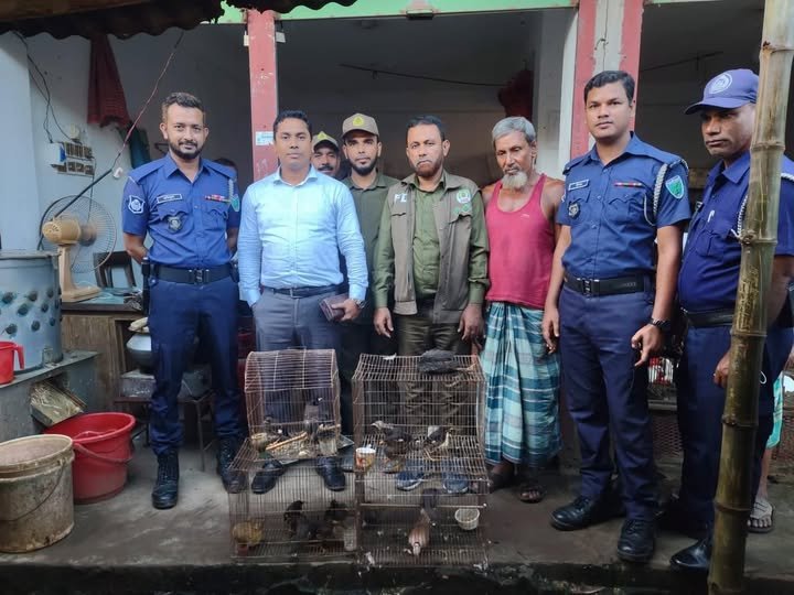 মনতলায় অবৈধভাবে পাখি বিক্রির দায়ে মোবাইল কোর্ট, ১০ হাজার টাকা জরিমানা