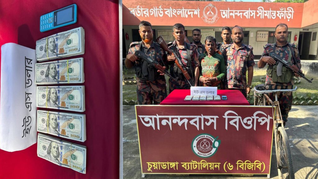 মেহেরপুরে বিজিবির অভিযানে ৫১ হাজার ডলারসহ চোরাকারবারি আটক