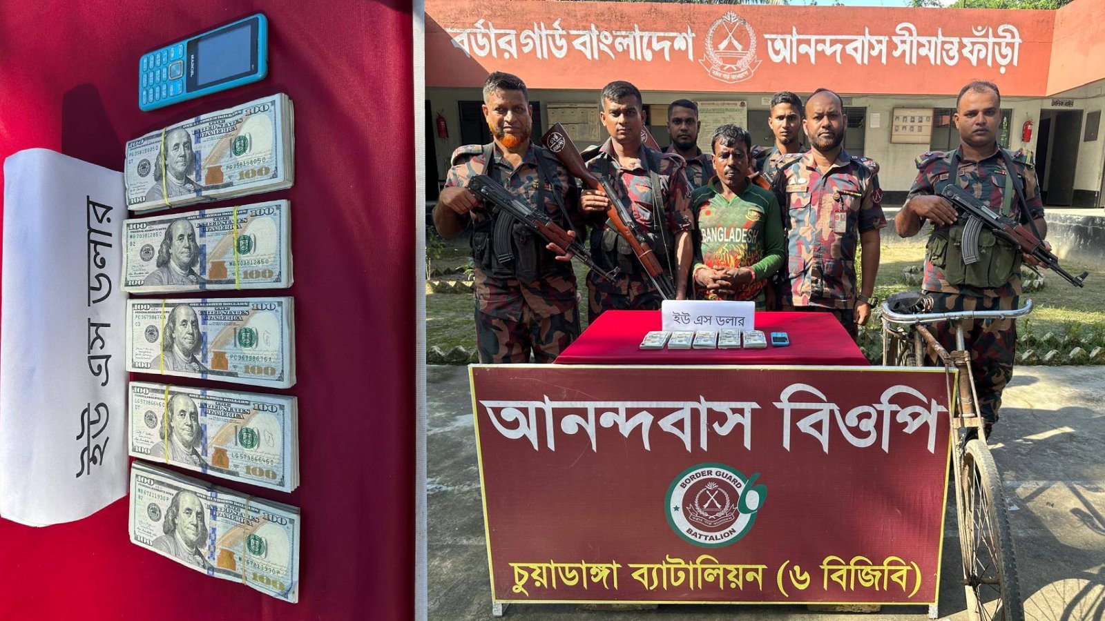 মেহেরপুরে বিজিবির অভিযানে ৫১ হাজার ডলারসহ চোরাকারবারি আটক