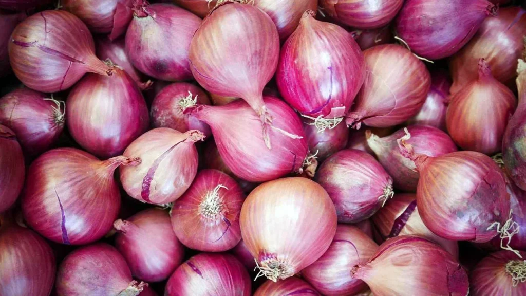 কারসাজির ফলে মাত্র পাঁচ দিনের ব্যবধানে পেঁয়াজের দাম কেজিপ্রতি বেড়েছে ৩০ টাকা।