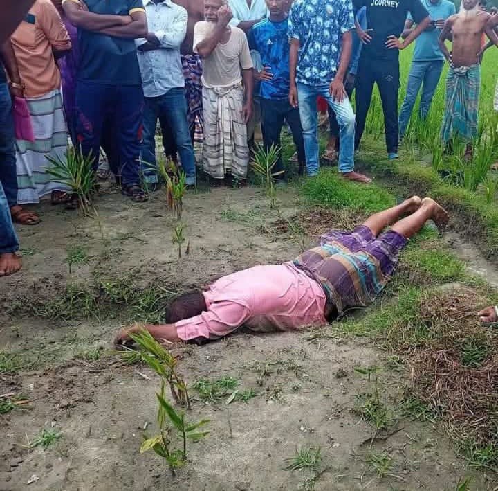 নীলফামারী