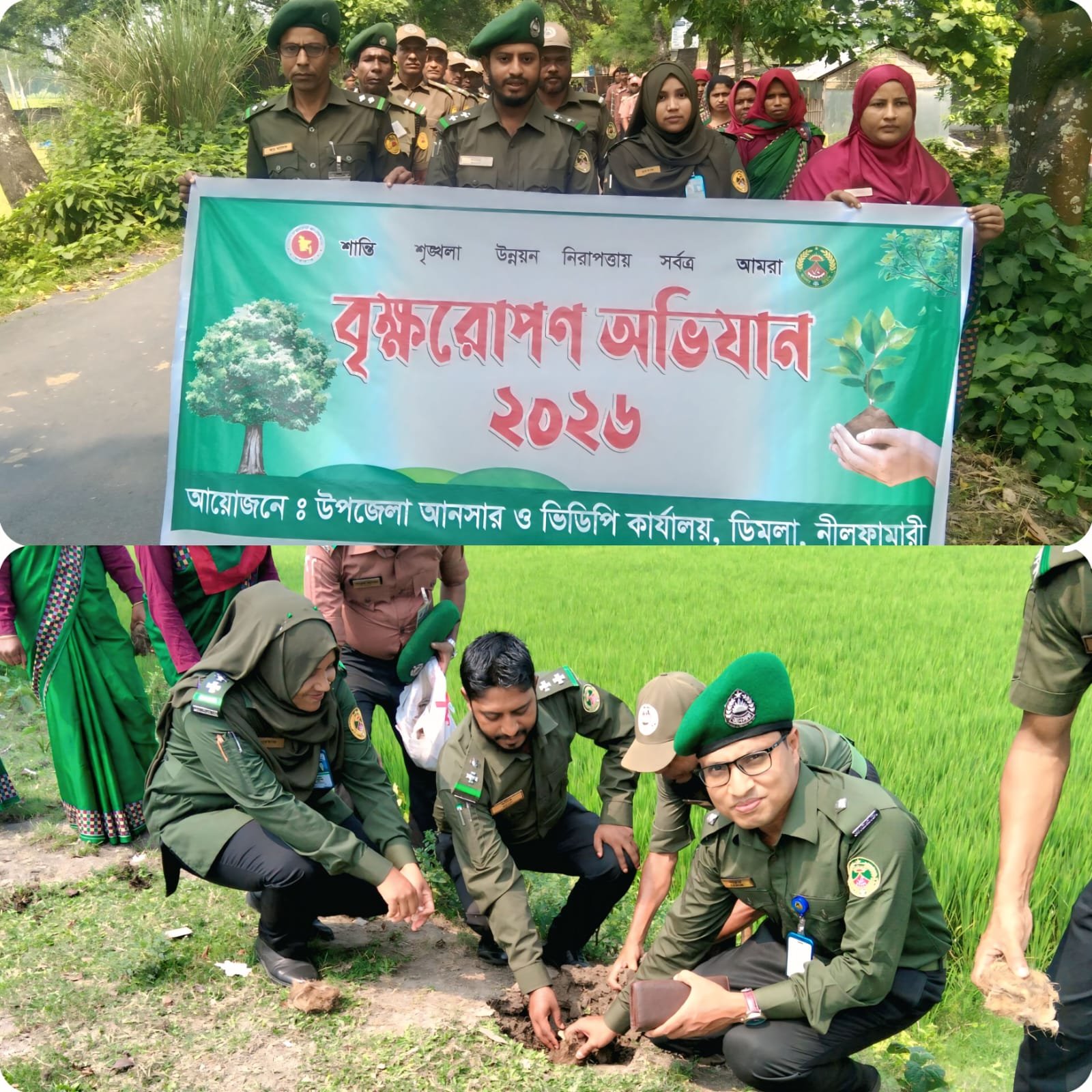 ডিমলায় আনসার-ভিডিপির উদ্যোগে ৫৫২ তালবীজ রোপণ